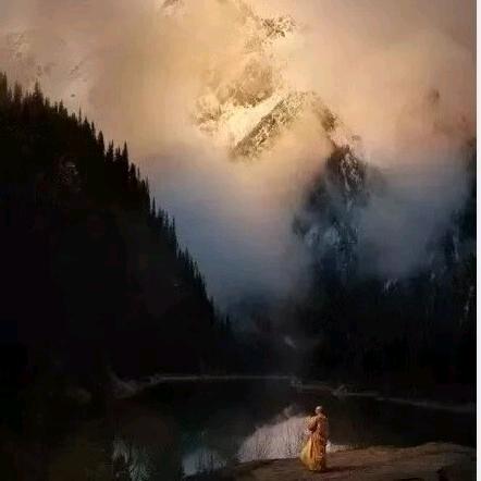 虚极静笃