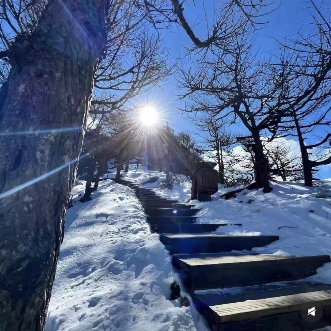 雾漫南山
