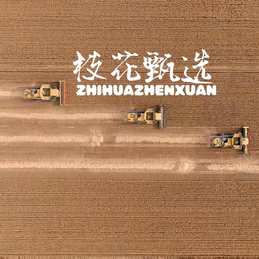 枝花甄选百货仓