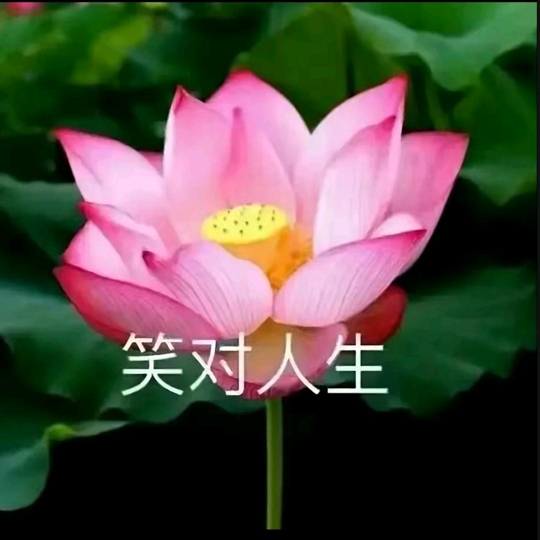 AAAAA广东饲料厂丘总