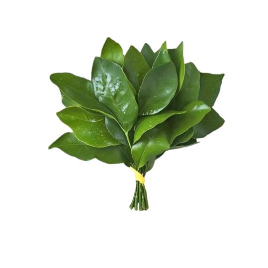 我想我该改个名字了