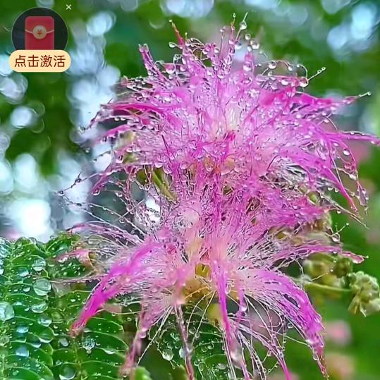 不努力没人给你想要的生活