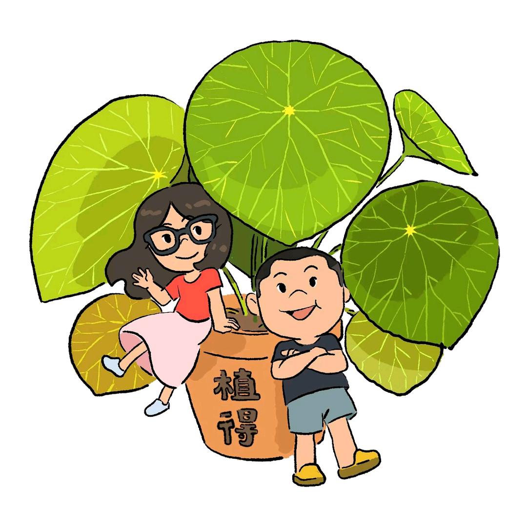 植得(控不了水版）