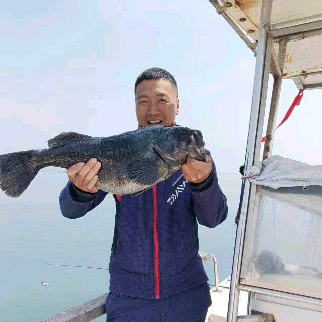 大连你明哥