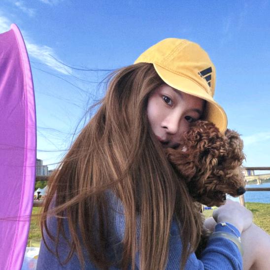 小新没蜡笔🖍️