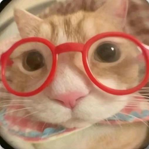 你是不是有点毕荥