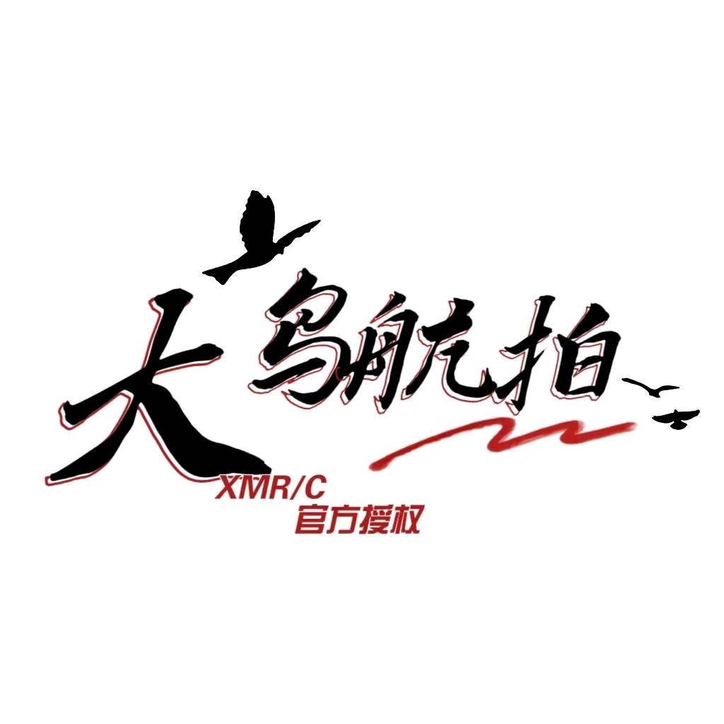 大鸟航拍无人机