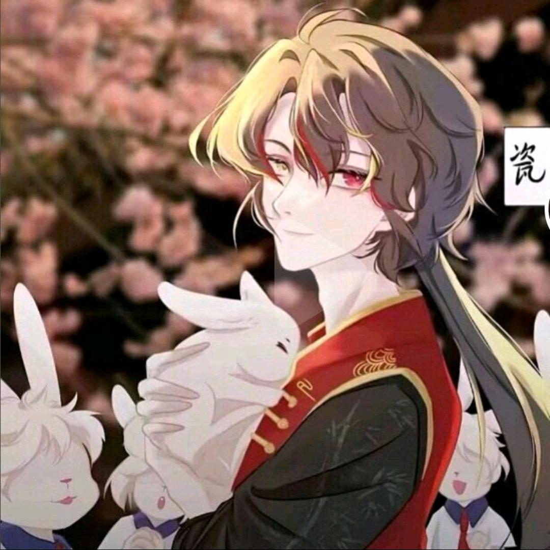 瓷