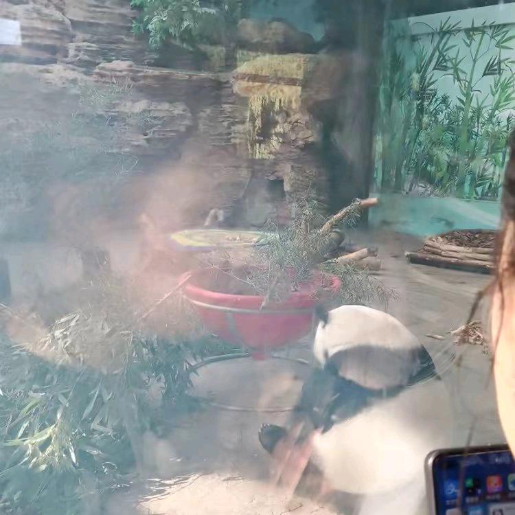 高大侠珍惜时间