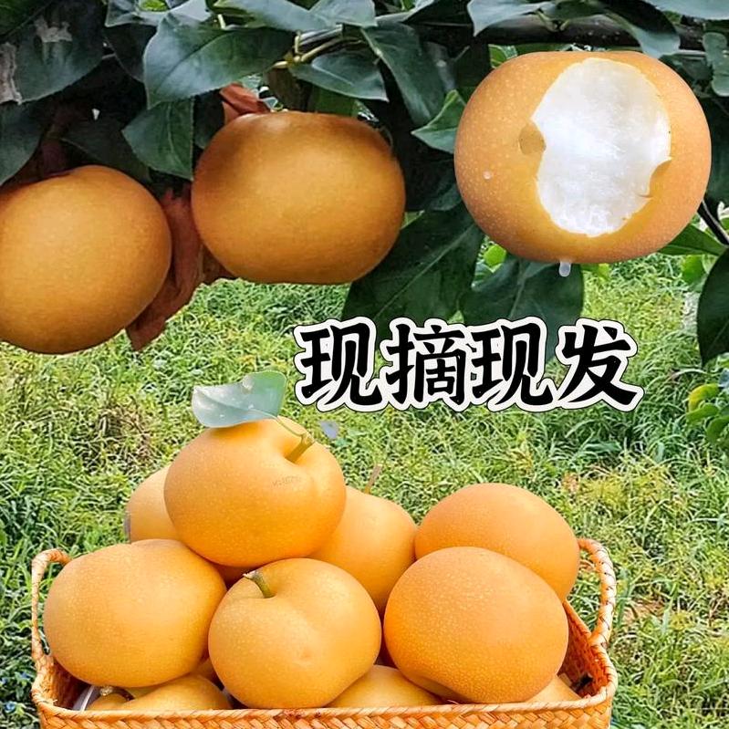 程程的平度果蔬严选店