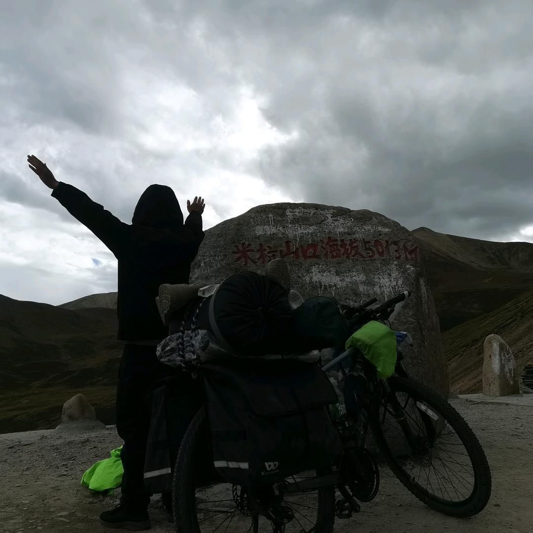 我像风一样自由