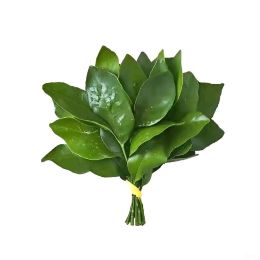 枫