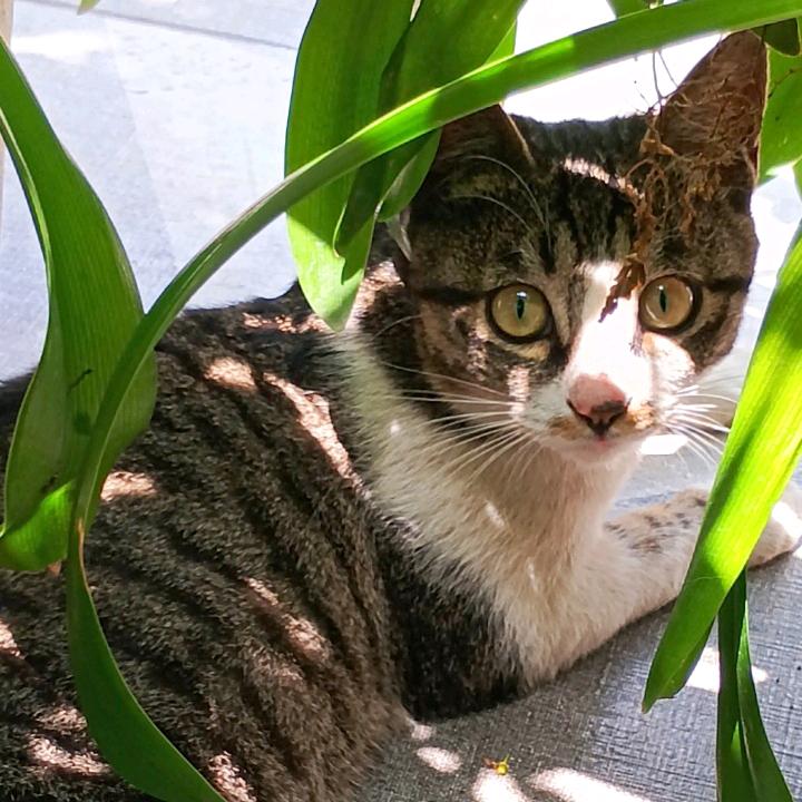 三明远南职业培训学校朱老师