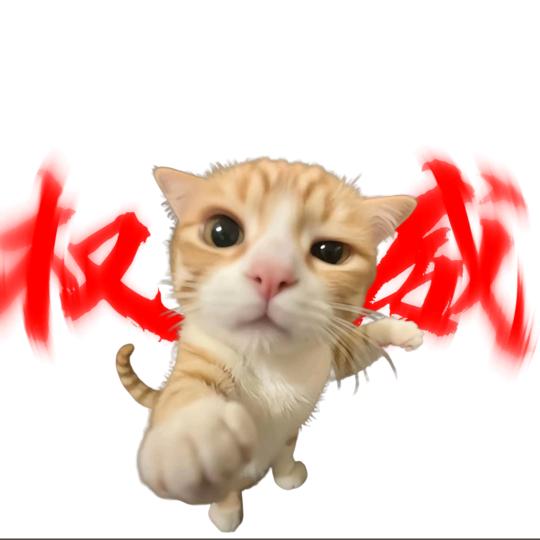 芳姐商店芳姐营销号