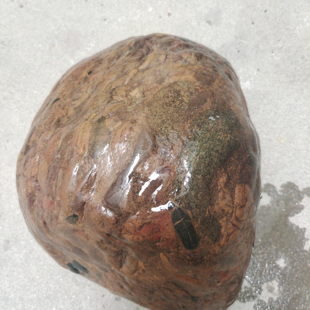 发光的冬天