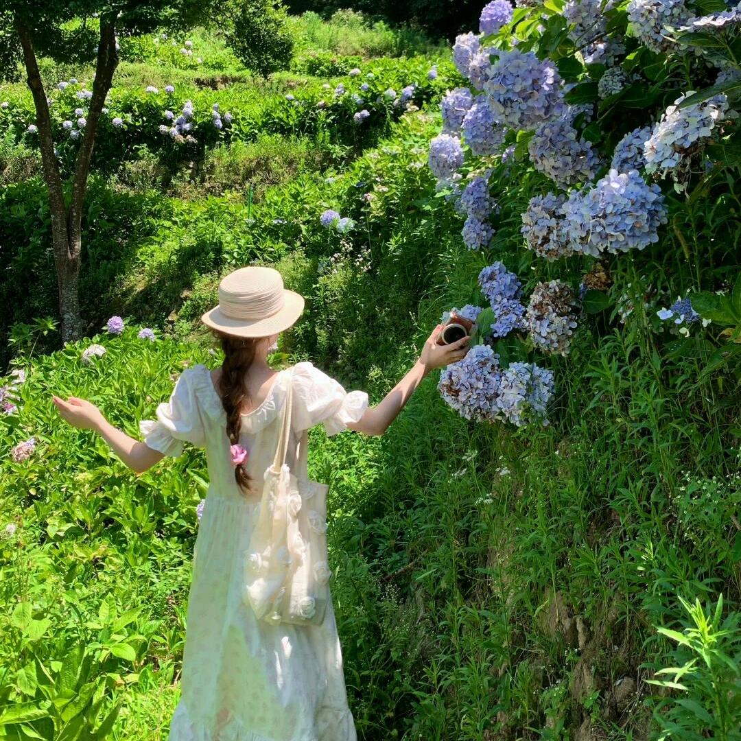 柒柒柒✨