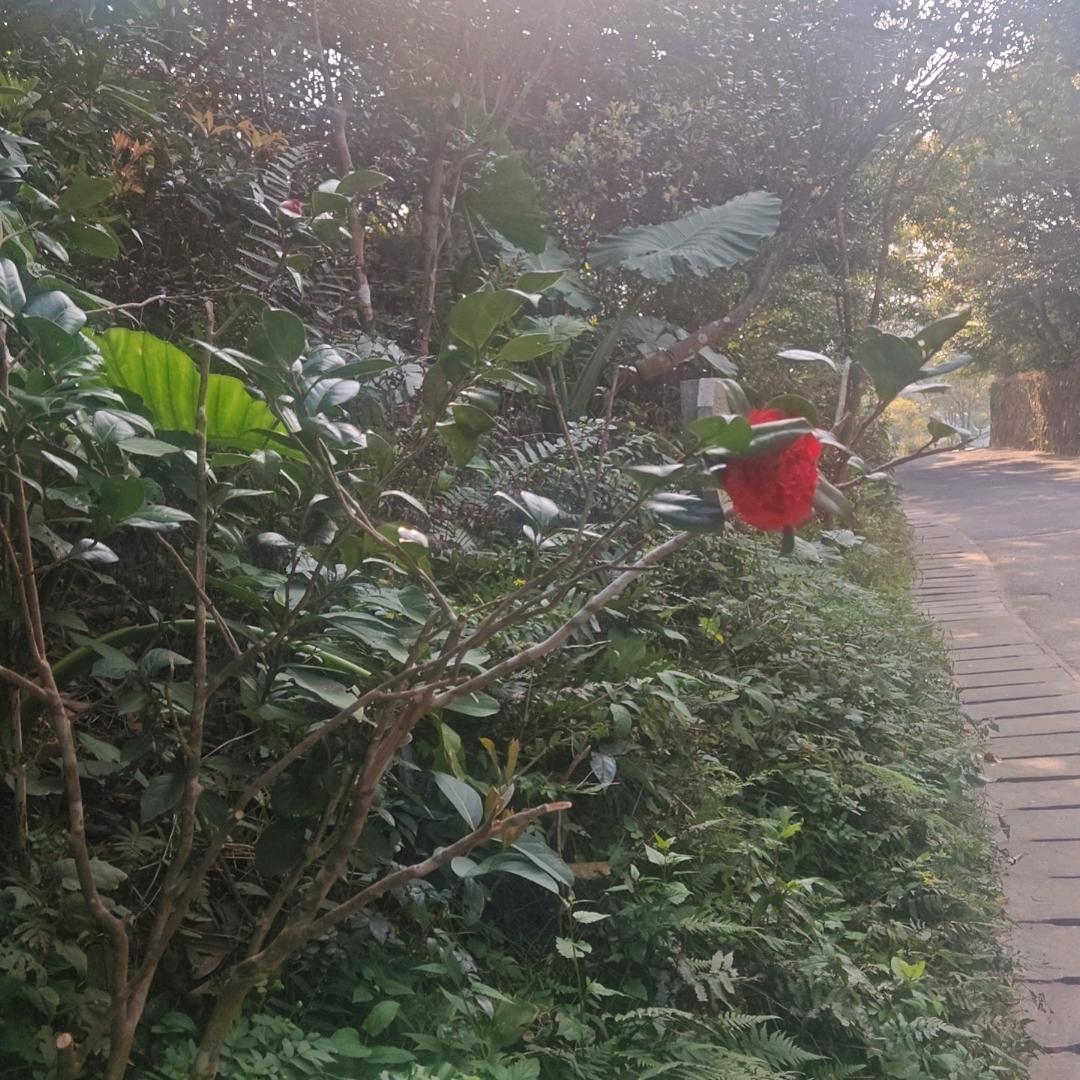 做人要坏一点