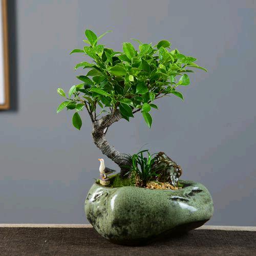 小小的太阳