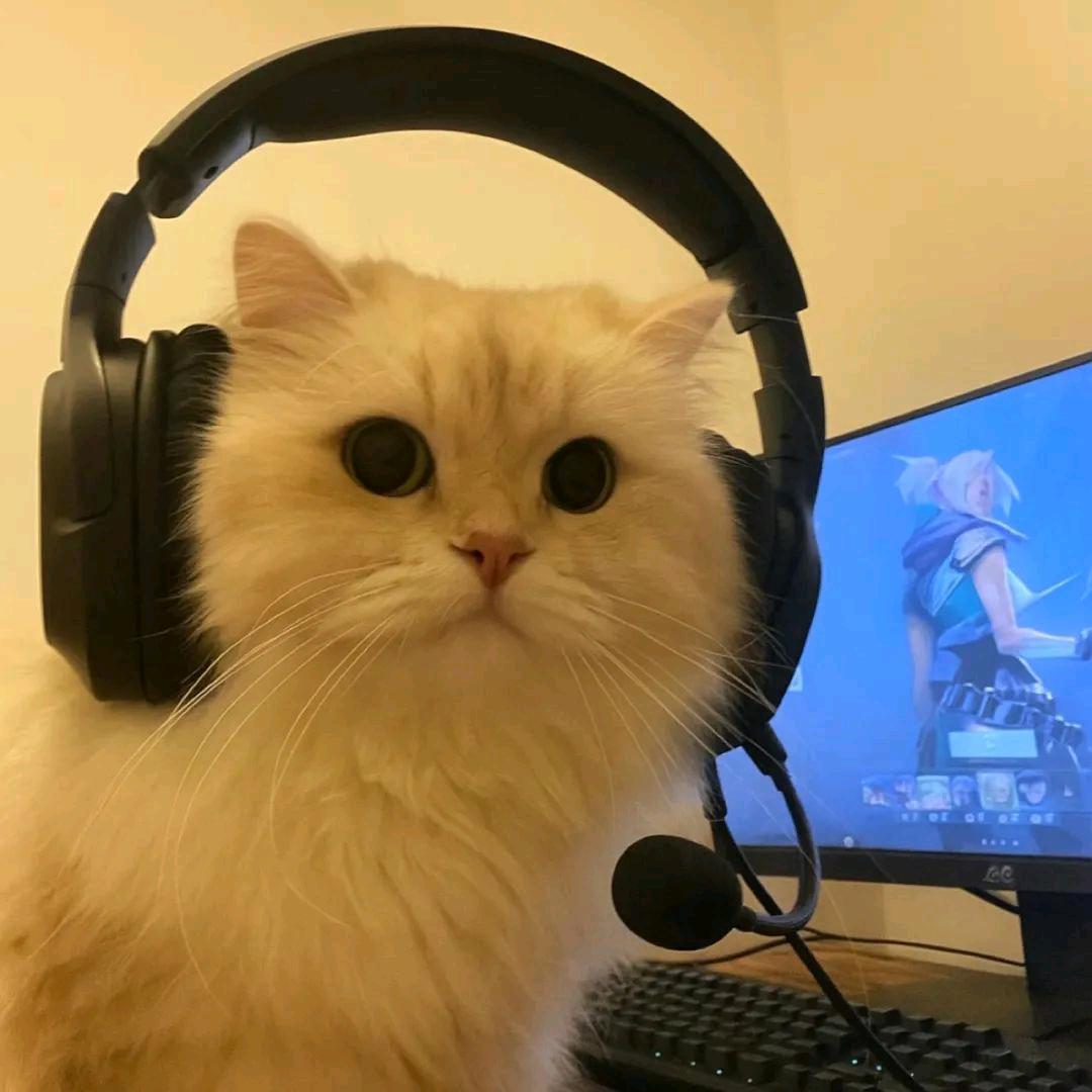 倘若