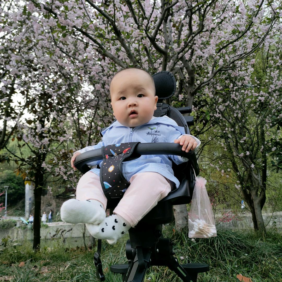 会姐姐