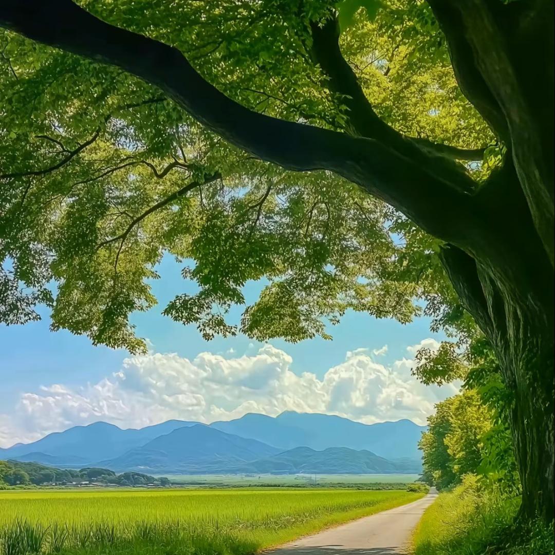 闪闪闪闪