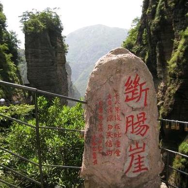 偷鸡的狼