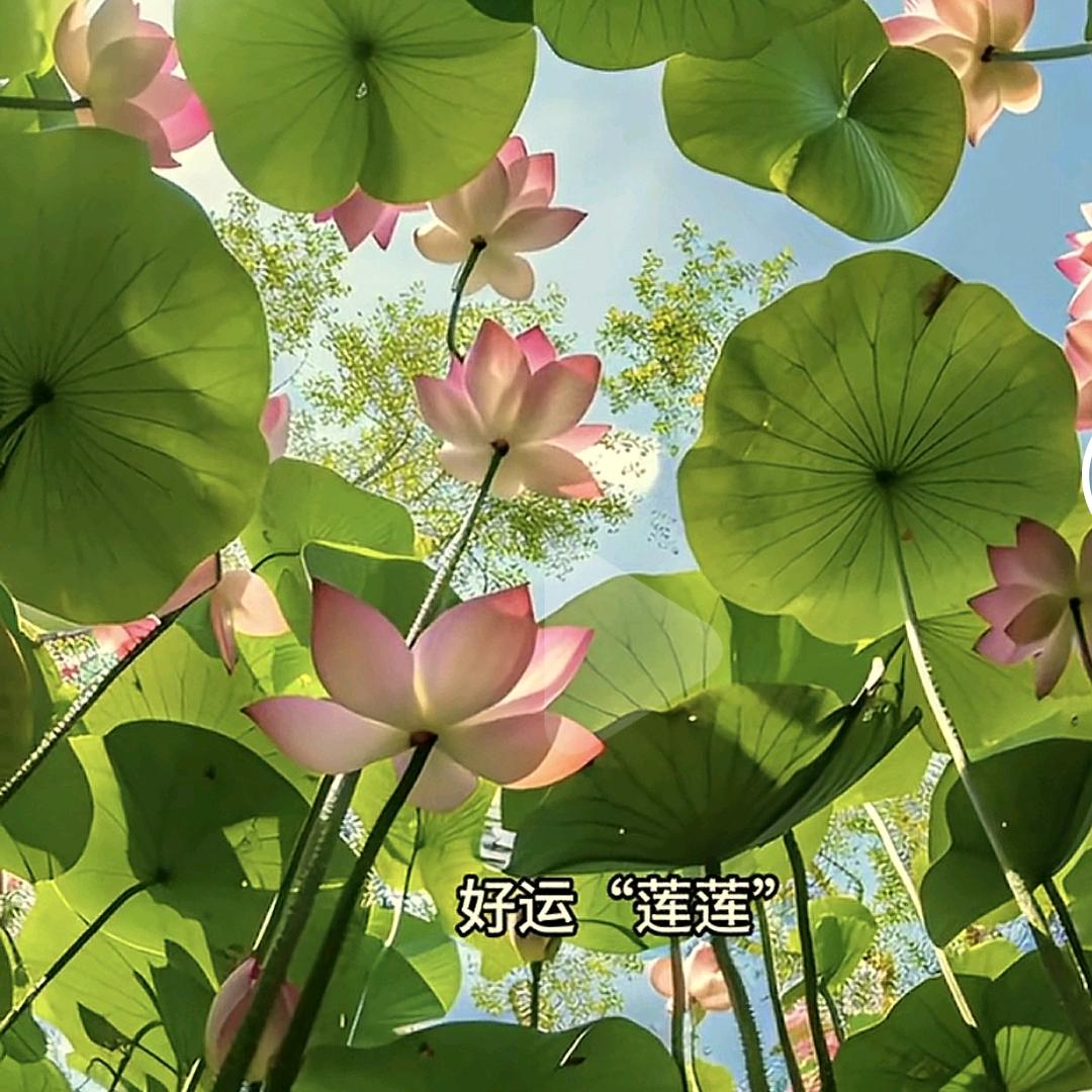 时墨