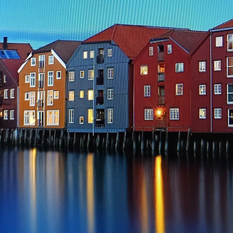 国际贸易部（进出口业务）