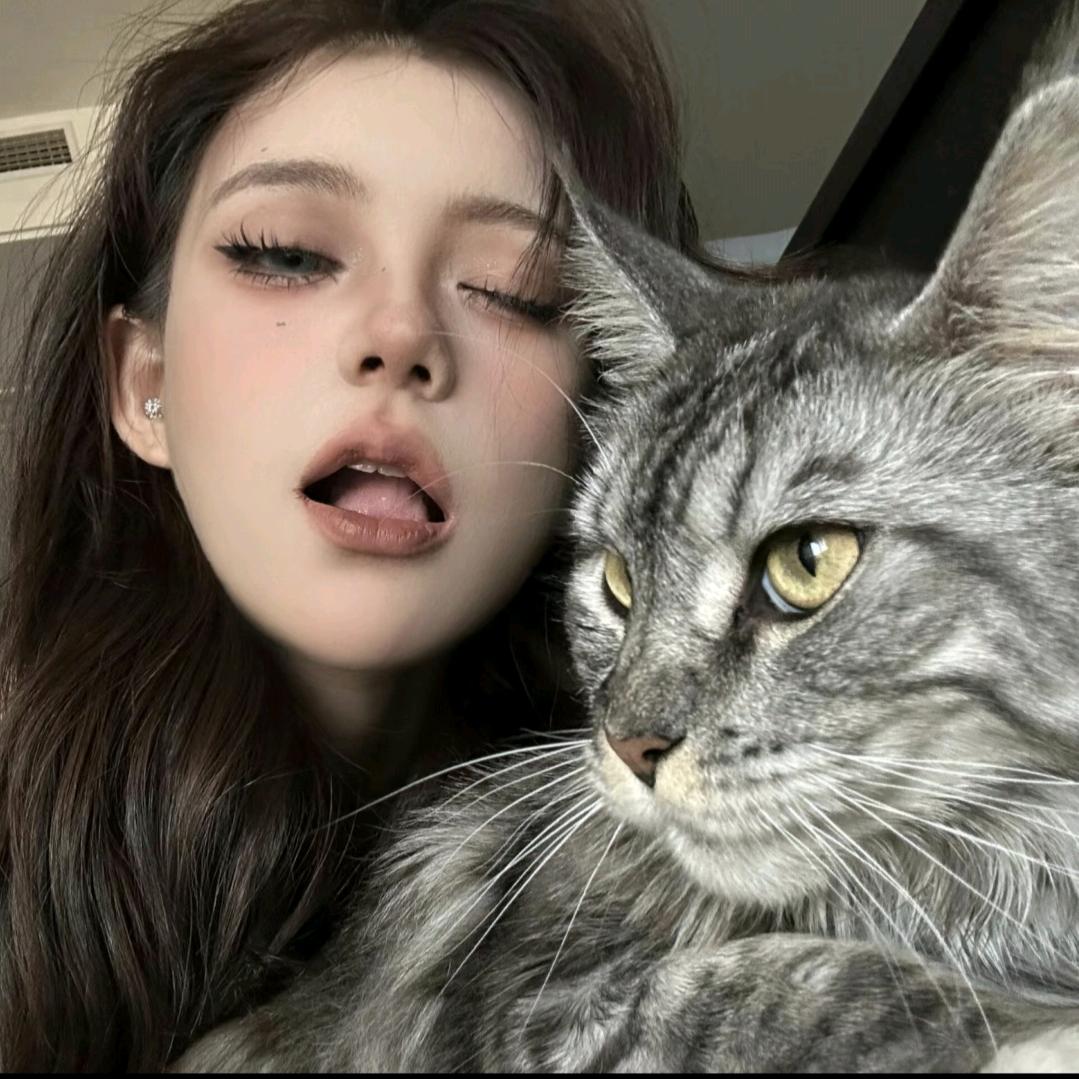 泡泡肥猫