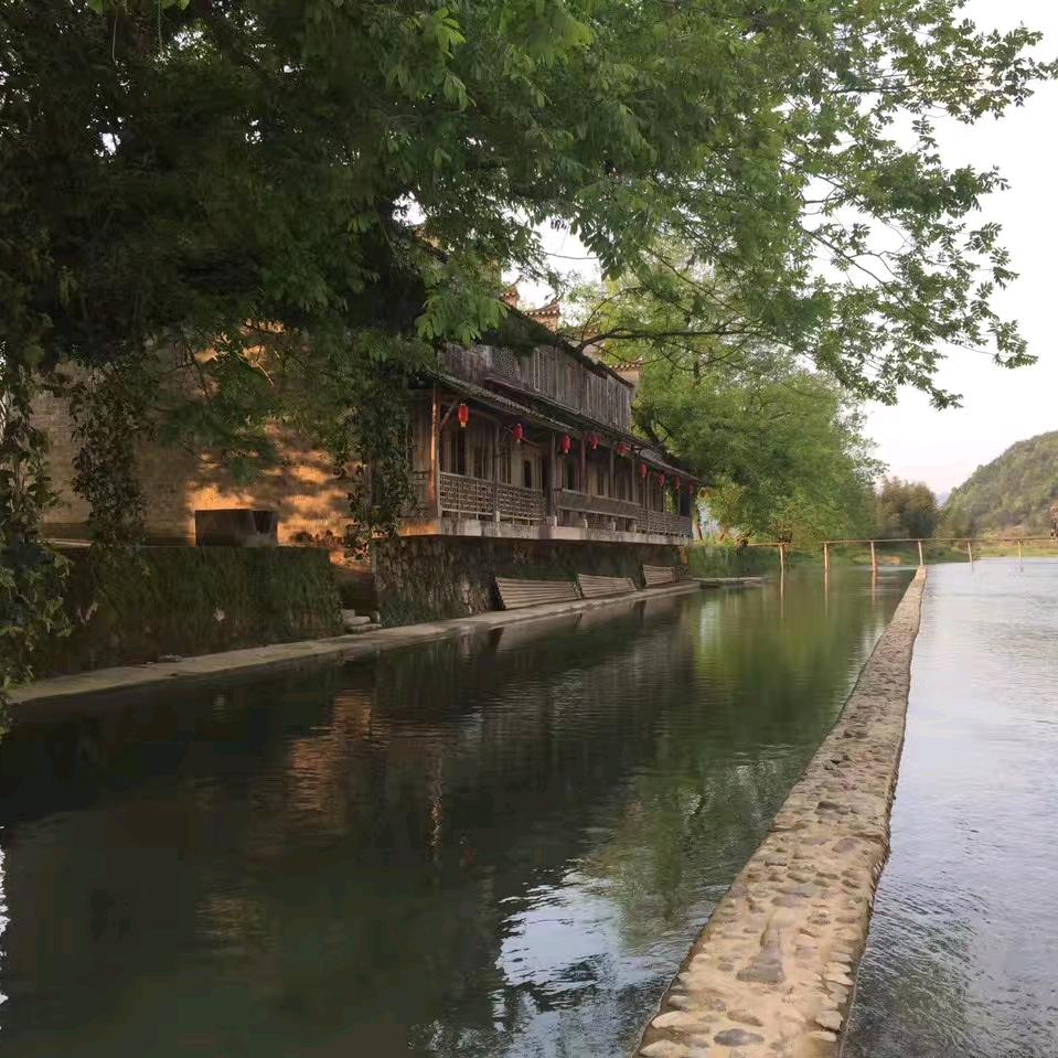 小黄