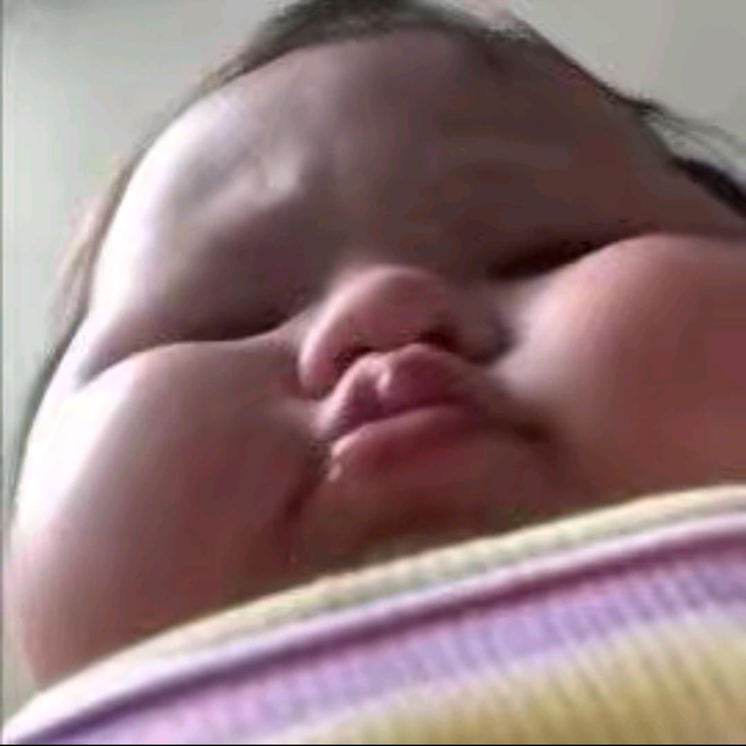 猪波一