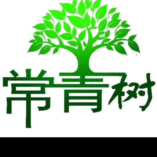 💫常✨青✨树✨