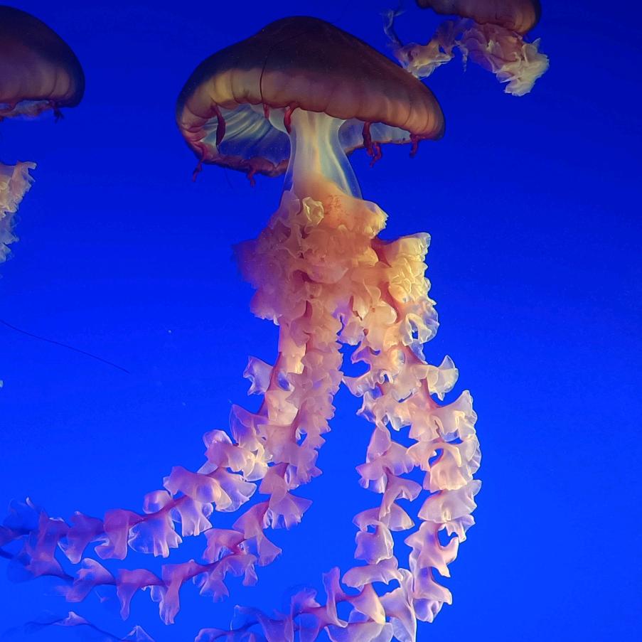 @ℳꦿ杨꧔ꦿ᭄💞