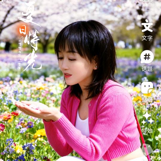 木槿