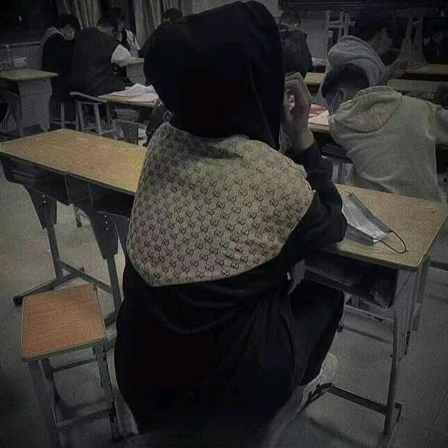 π（见过房东的猫版）