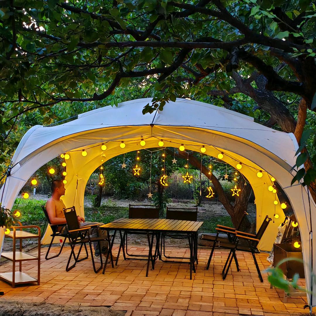 西夏区果园溜达鸡。