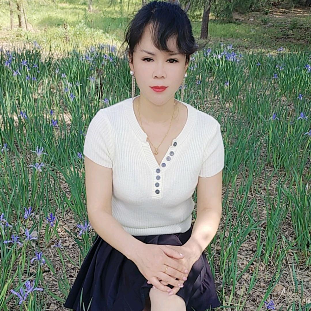 云宝