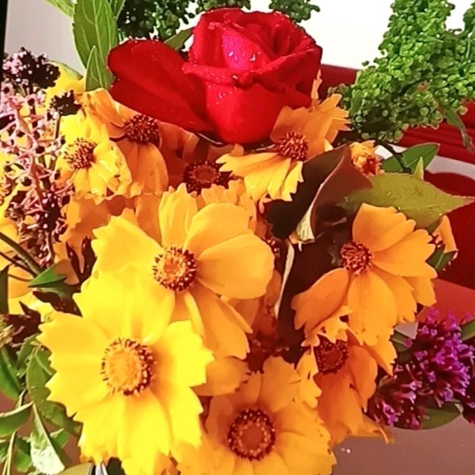 一如既往ᕙ( ͡◉ ͜ ʖ ͡◉)ᕗ