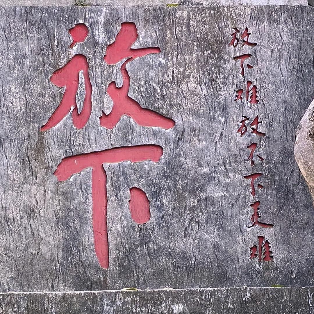 涛涛不语伴风来