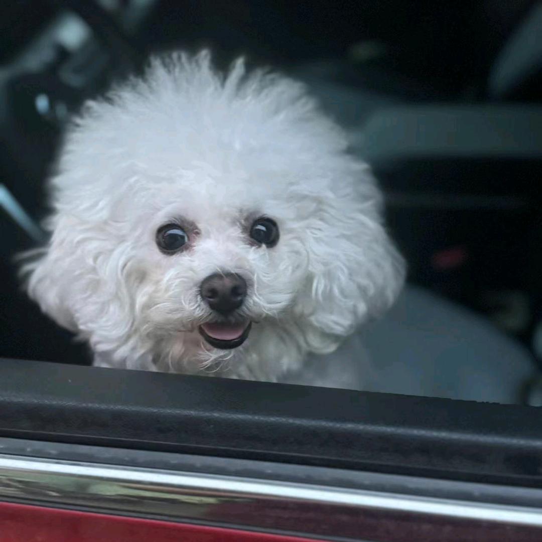 兿（抚州全屋定制安装）