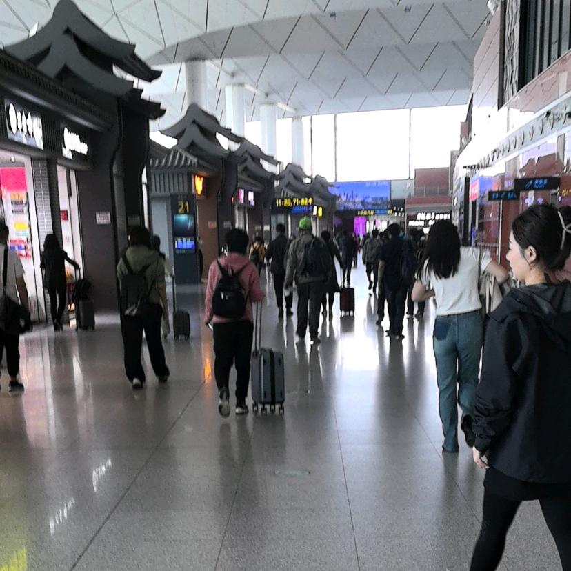 看什么看，不刷