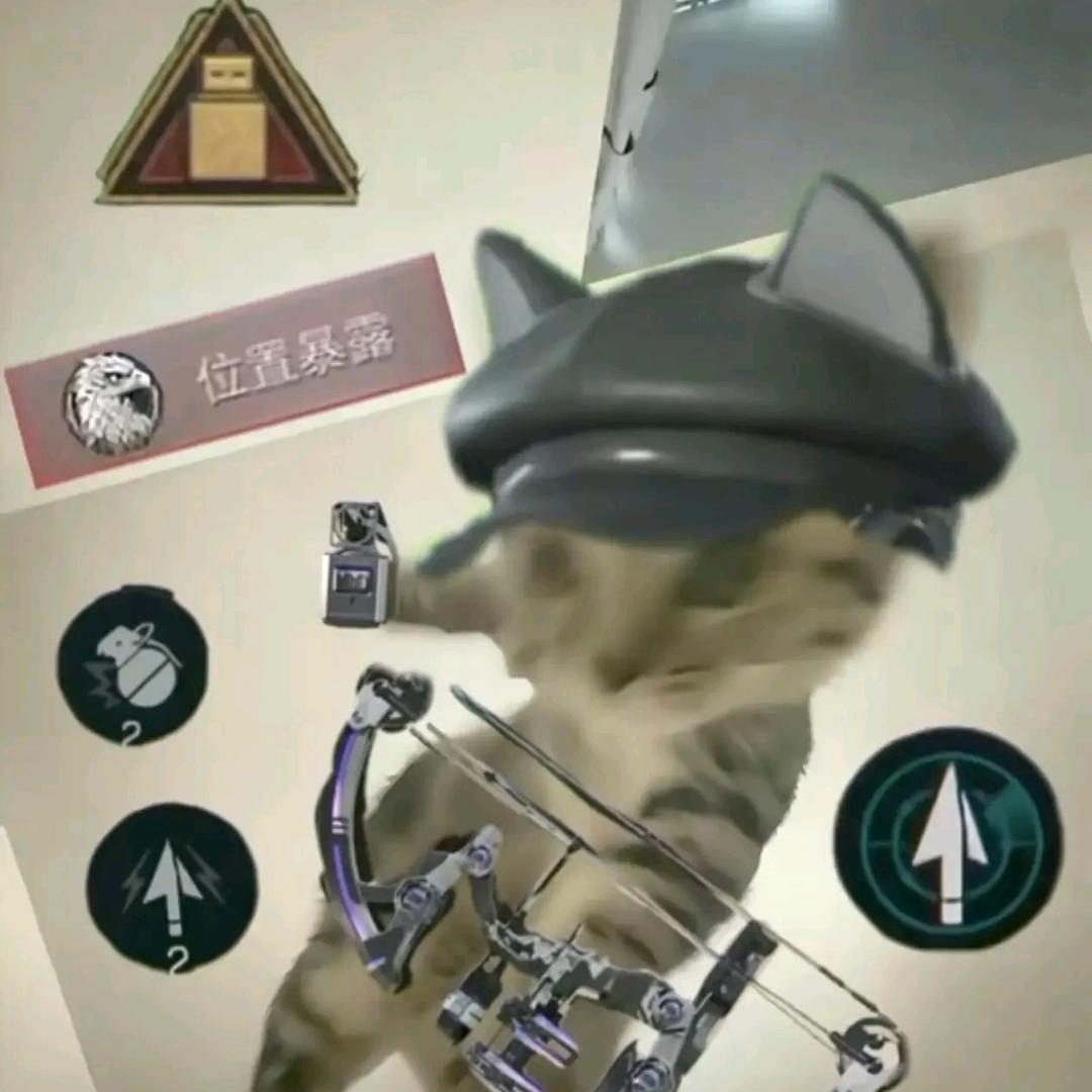 没在花田犯错
