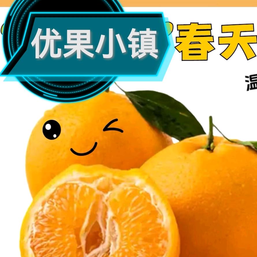 今尚果品•优果小镇