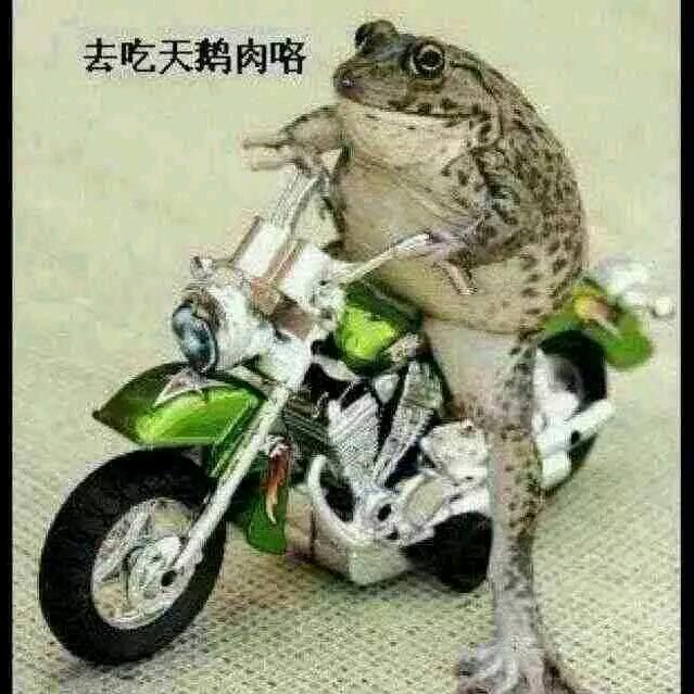 张步开