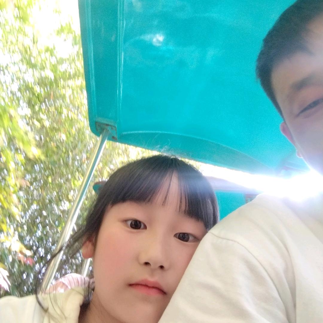 儍橴