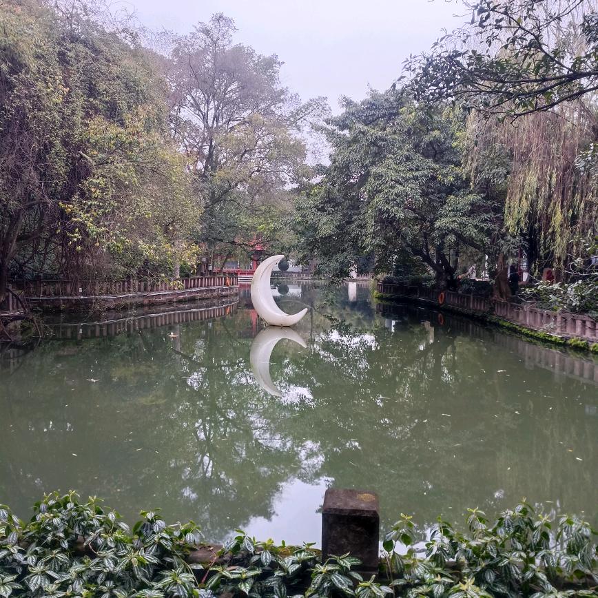 不知所错