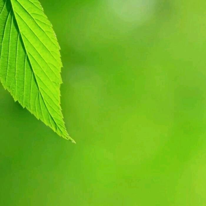 医心医意守护