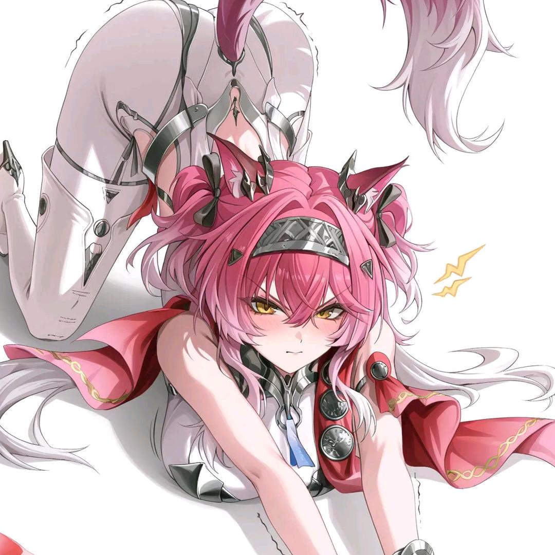 睡不着的狸花猫