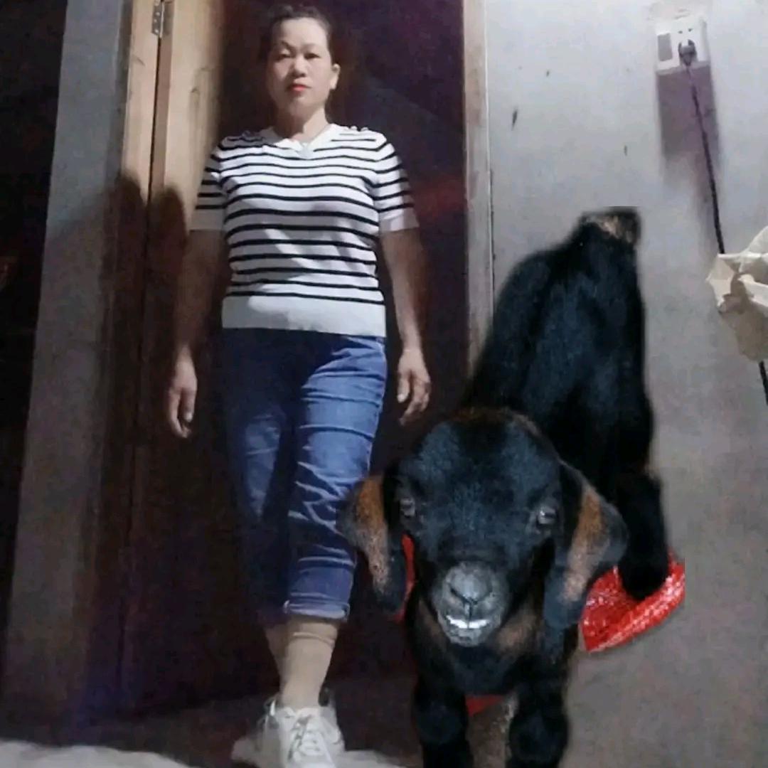 啊妹