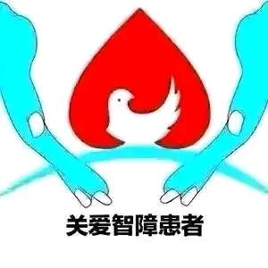 浙江智障收容所（包接送）